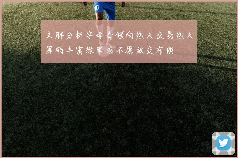 文胖分析字母哥倾向热火交易热火筹码丰富绿军或不愿放走布朗