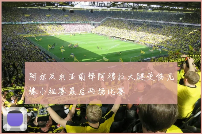 阿尔及利亚前锋阿穆拉大腿受伤无缘小组赛最后两场比赛