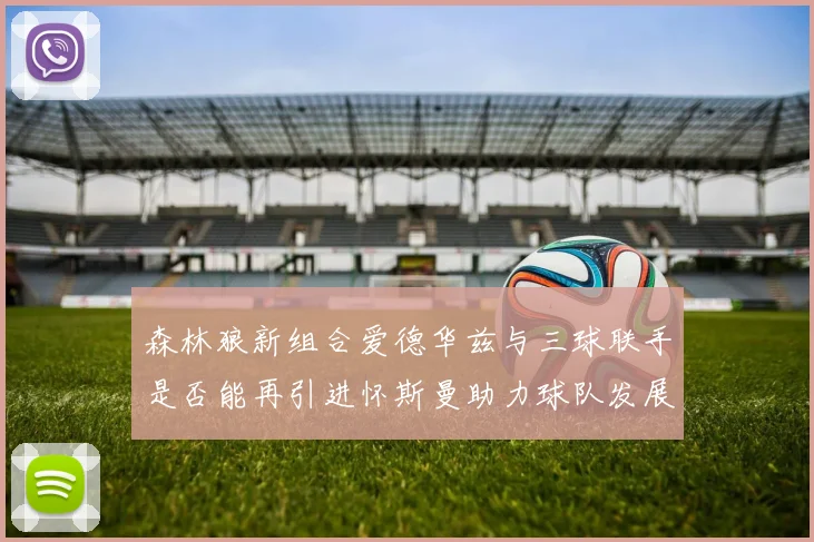 森林狼新组合爱德华兹与三球联手是否能再引进怀斯曼助力球队发展