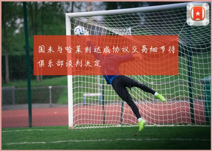 国米与哈莱利达成协议交易细节待俱乐部谈判决定
