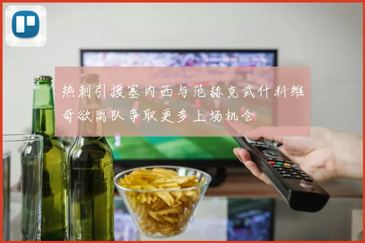热刺引援塞内西与范赫克武什科维奇欲离队争取更多上场机会